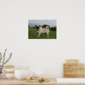 パグパンティン ポスター (キッチン)