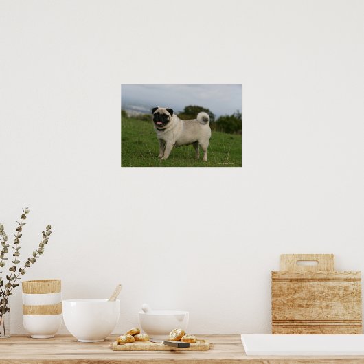 パグパンティン ポスター (キッチン)