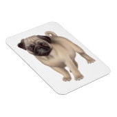 パグフレンドリードグプレミアム磁石 マグネット (右側)