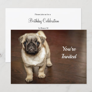 パグブラウンドッグフォト誕生日 招待状