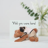 パグブルース ポストカード (スタンド正面)