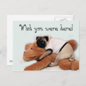 パグブルース ポストカード (正面/裏面)