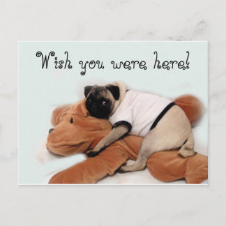 パグブルース ポストカード