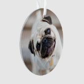 パグヘッドの傾き オーナメント (正面)