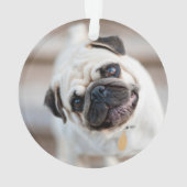 パグヘッドの傾き オーナメント (裏面)
