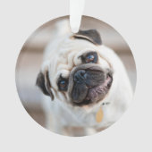 パグヘッドの傾き オーナメント (正面)
