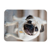 パグヘッドの傾き マグネット (横)