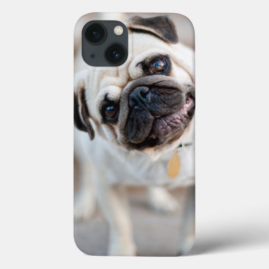 パグヘッドの傾き Case-Mate iPhoneケース (裏面)