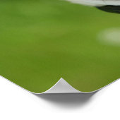 パグヘッドショット ポスター (角)