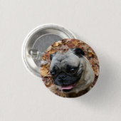 パグボタン 缶バッジ (正面&裏面)