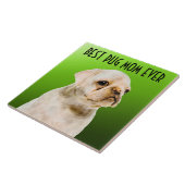 パグママセラミックタイル タイル (側面)