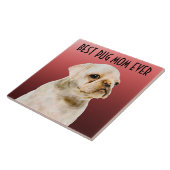 パグママセラミックタイル タイル (側面)