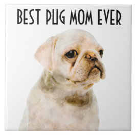 パグママセラミックタイル タイル