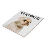 パグママセラミックタイル タイル (側面)