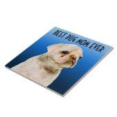 パグママセラミックタイル タイル (側面)