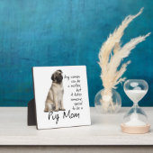 パグママプラーク フォトプラーク (インサイチュ)