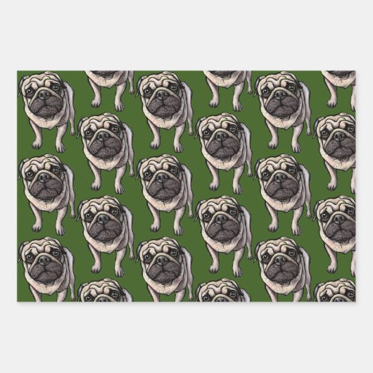 パグラッピング紙 ラッピングペーパーシート (正面)