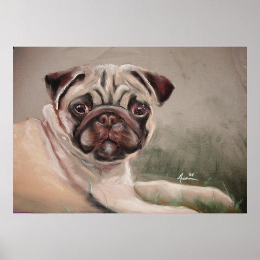 パグリクライニング ポスター (正面)