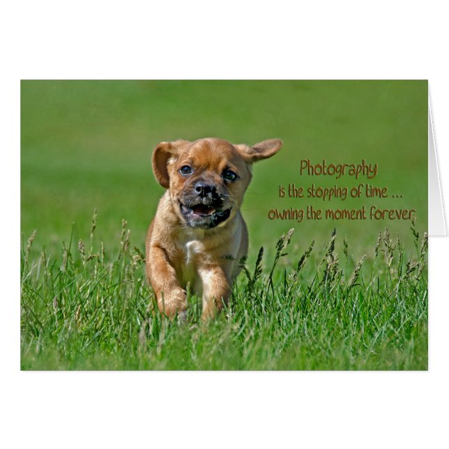 パグルパップ (正面横)