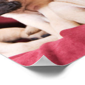 パグ三つ子 ポスター (角)