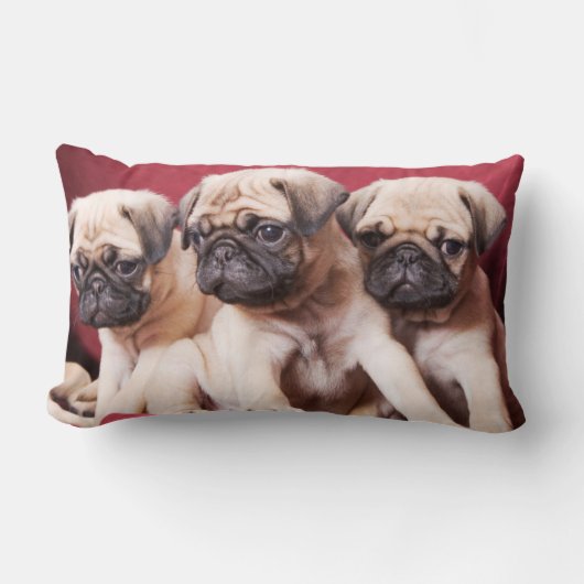 パグ三つ子 ランバークッション (正面)