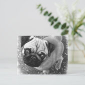 パグ子犬の芸術 ポストカード (スタンド正面)