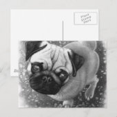 パグ子犬の芸術 ポストカード (正面/裏面)