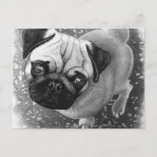 パグ子犬の芸術 ポストカード (正面)