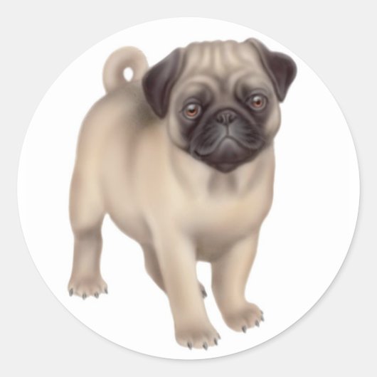 パグ子犬ステッカー ラウンドシール (正面)