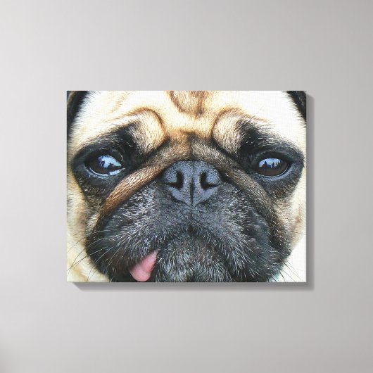 パグ子犬 キャンバスプリント (正面)