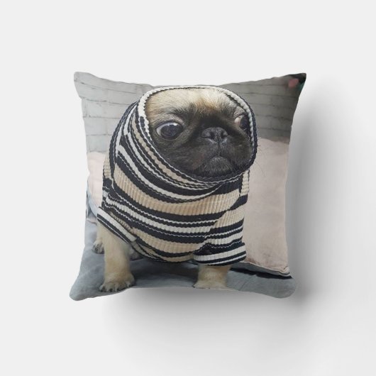 パグ子犬 クッション (裏面)