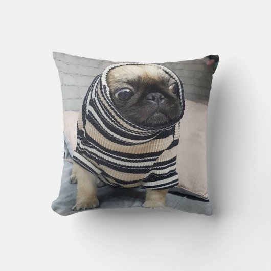 パグ子犬 クッション (正面)