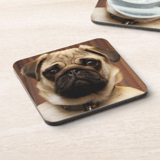 パグ子犬 コースター (左側)