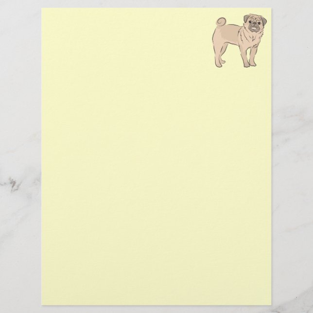 パグ犬が一人でかわいい！ (正面)