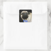 パグ犬と可愛い愛犬のステッカー スクエアシール (バッグ)