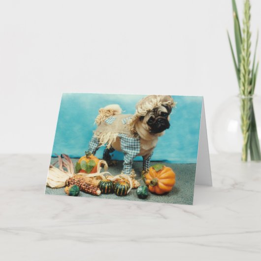 パグ犬のカカシ カード (正面)