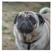 パグ犬のセラミックタイル タイル (正面)