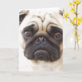 パグ犬グリーティングカード カード (黄色い花)