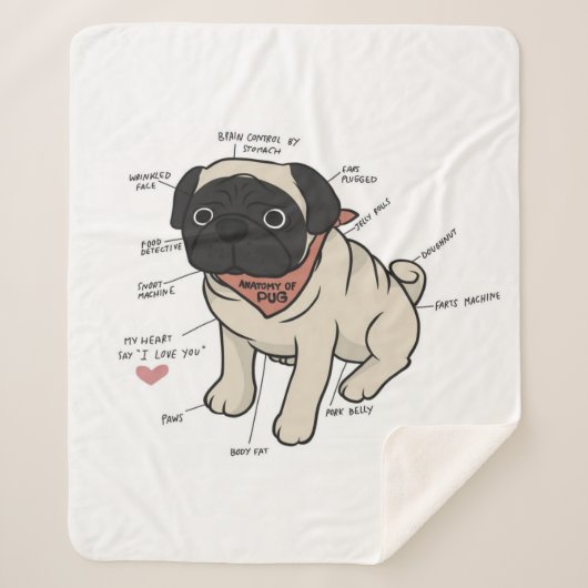 パグ犬図の解剖学 シェルパブランケット (正面)