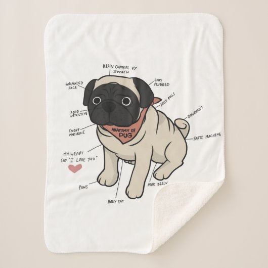 パグ犬図の解剖学 シェルパブランケット (正面)