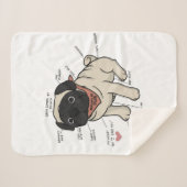 パグ犬図の解剖学 シェルパブランケット (正面(横))