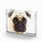 パグ犬。 フォトブロック (右)