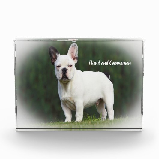 パグ犬 フォトブロック (正面)
