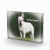 パグ犬 フォトブロック (右)