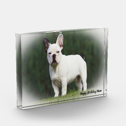 パグ犬。 フォトブロック (左)