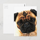 パグ犬 ポストカード (正面/裏面)