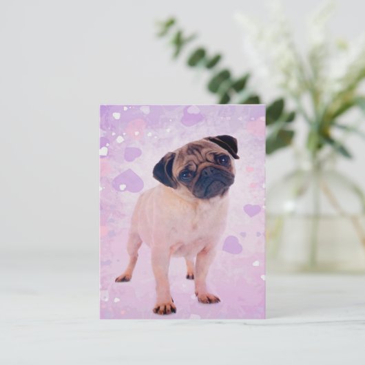 パグ犬 招待状 (スタンド正面)