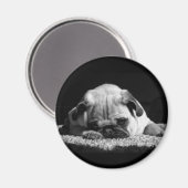 パグ磁石 マグネット (正面/裏面)