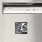 パグ磁石 マグネット (インサイチュ (食洗機))