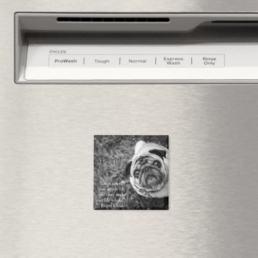 パグ磁石 マグネット (インサイチュ (食洗機))